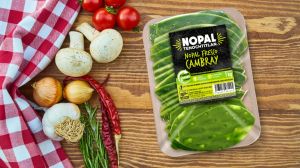 Nopal Milpa Alta - Nopal Mexica